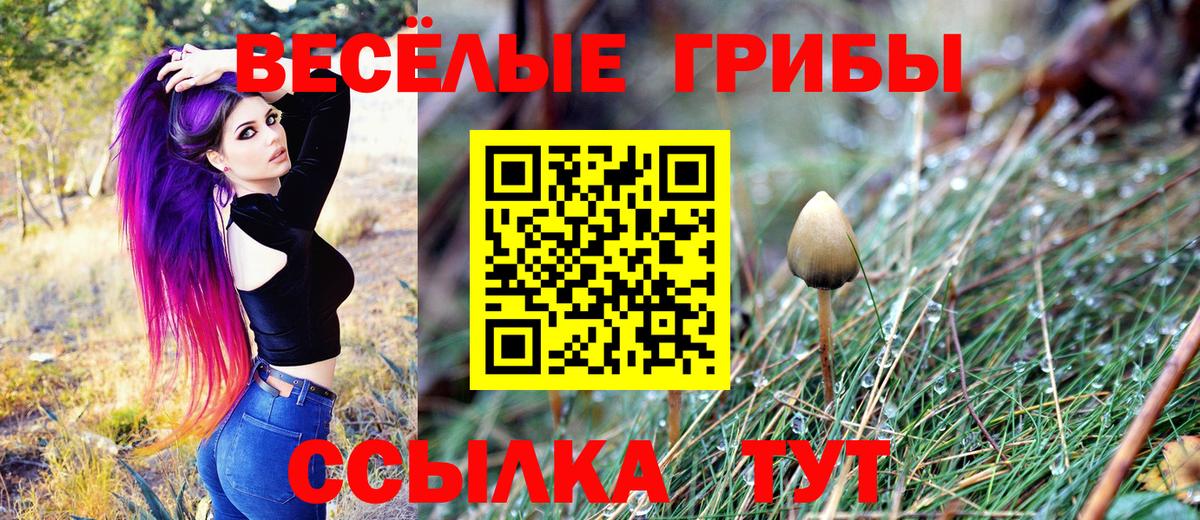 как найти   Вход с VPN  Йошкар-Ола  Псилоцибиновые грибы мицелий 